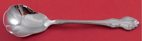 Sugar Spoon shell  5 7/8